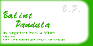 balint pandula business card