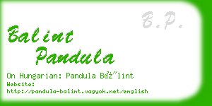 balint pandula business card